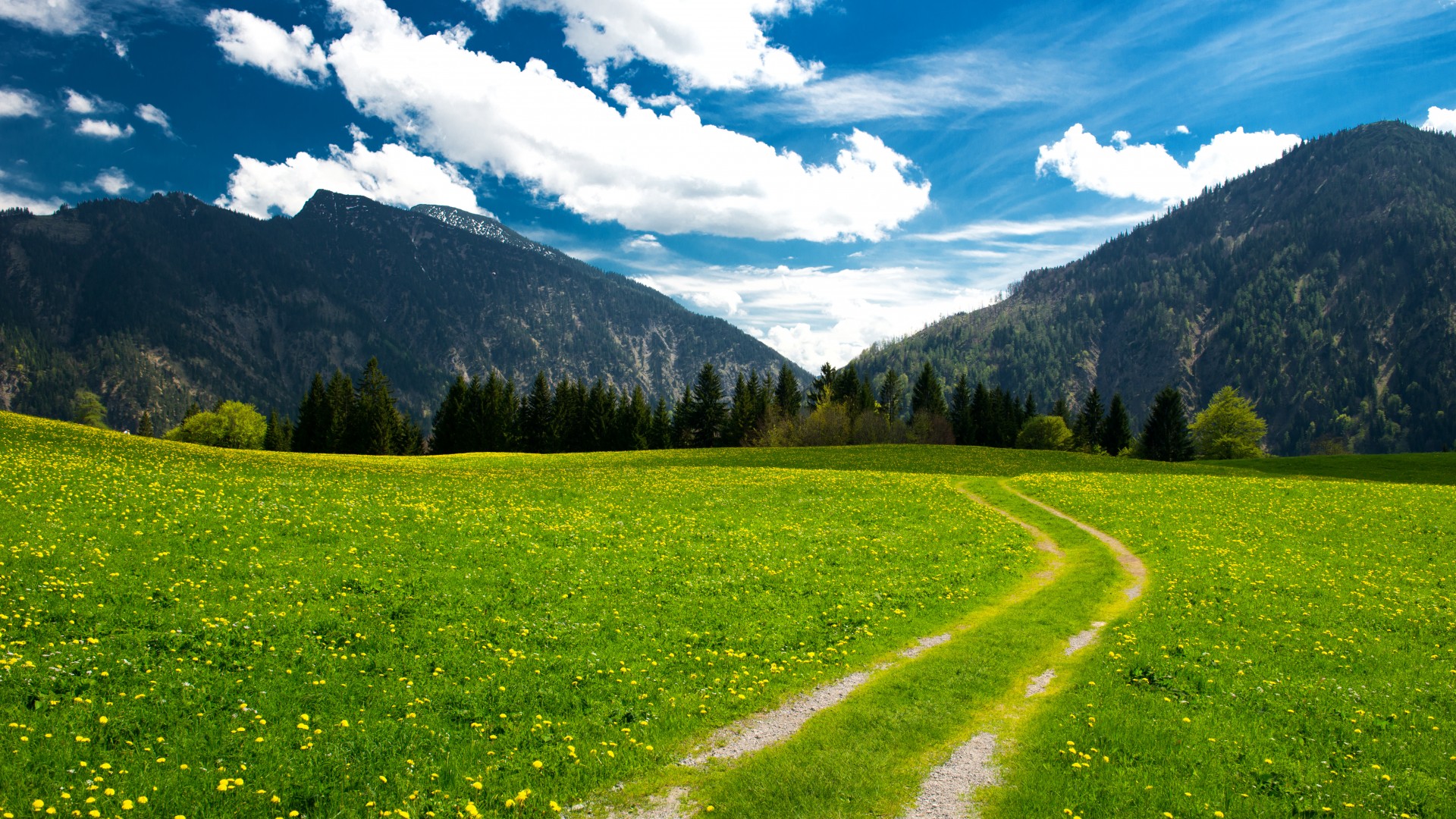 عکس-طبیعت-با-کیفیت-بالا-تابستان-در-کوهپایه-ها